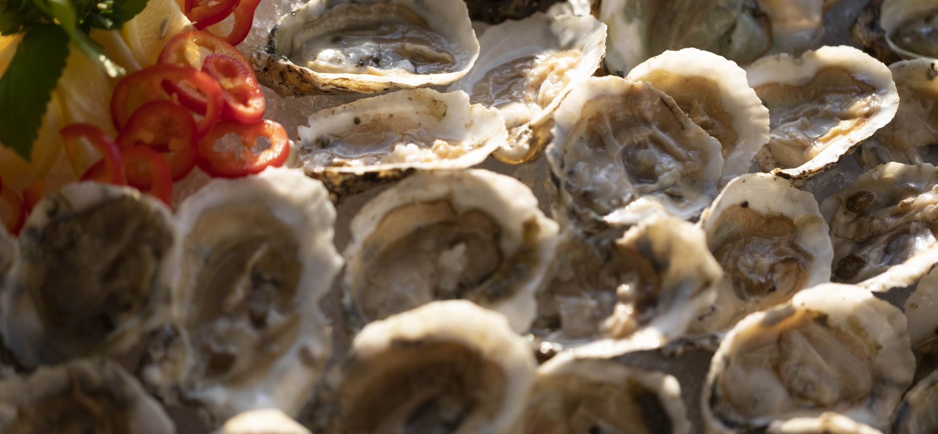 Members Seafood Buffet Oysters