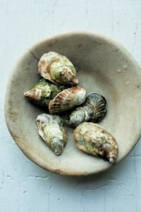 Montauk Pearl Oysters in a bowl