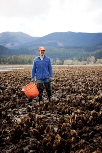 A farmer collecting oysters in field