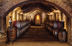 A wine cellar