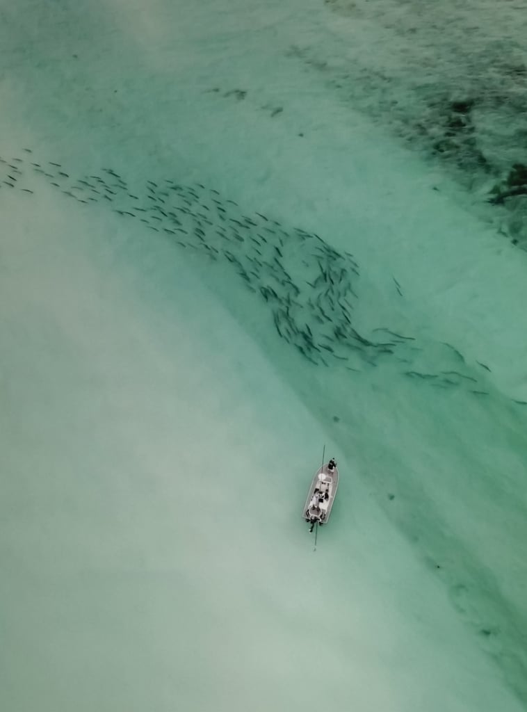 Aerial view of an angler targeting saltwater fish seen beneath the surface.