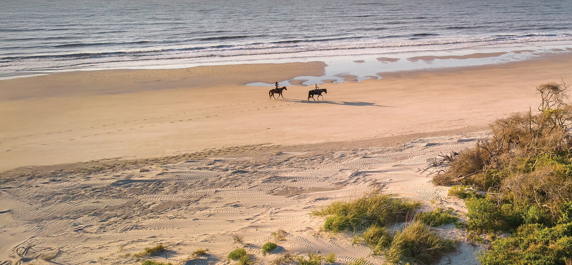 Two riders on horseback on the beach